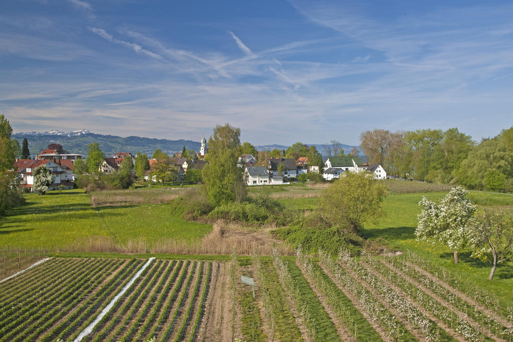 Hotel-Restaurant Walserhof 바서부르크 외부 사진